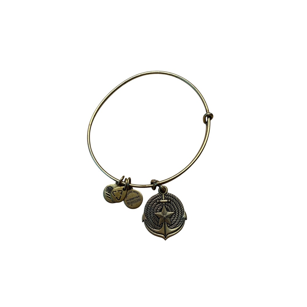 Alex and Ani Anchor Star Charm Bangle Bracelet Rafaelian Gold Expandable Wire